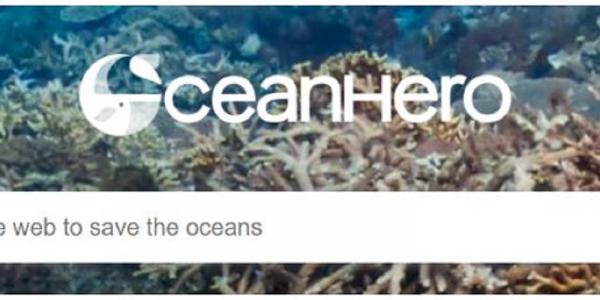 Sandgreens Ocean Clean Up Contribution