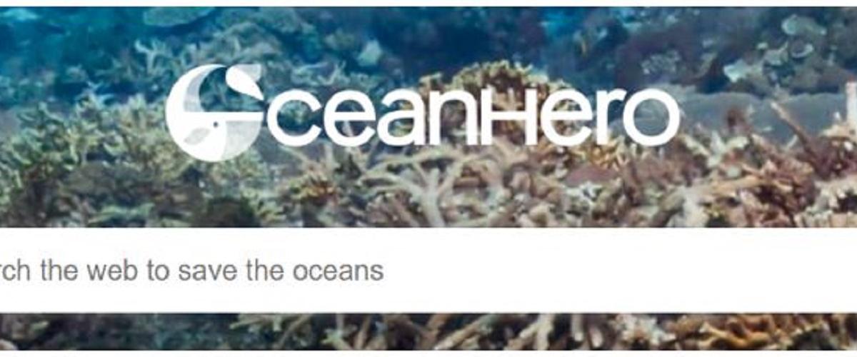 Sandgreens Ocean Clean Up Contribution